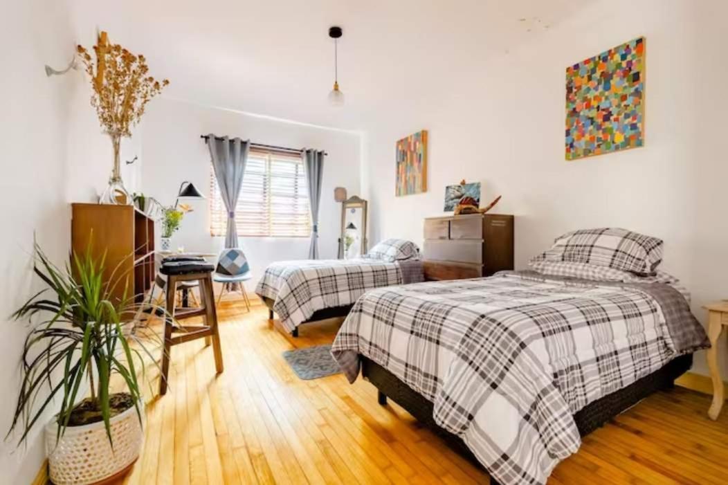 Indigo Guest House مدينة مكسيكو المظهر الخارجي الصورة